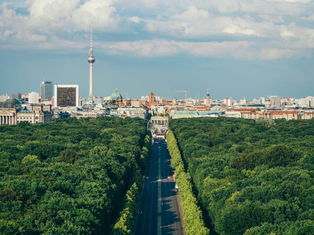 Opposition wirkt: Holzheizkraftwerk Klingenberg gestoppt!